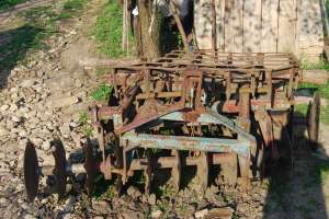 Vand Tractor DT445 tractiune dubla