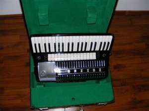 Acordeon electronic!