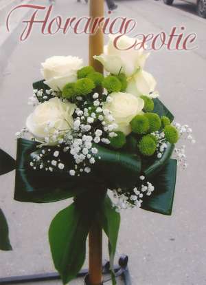 Florarie in Galati - Floraria Exotic