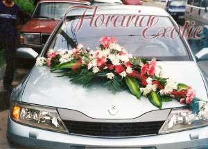 Florarie in Galati - Floraria Exotic