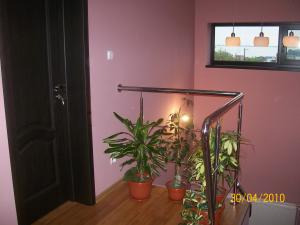 CASA IN OVIDIU