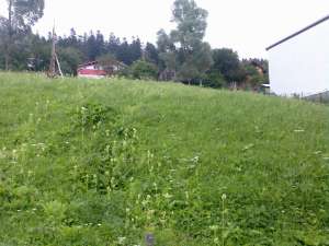 vind teren intravilan Busteni Zamora