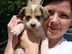 adoptie