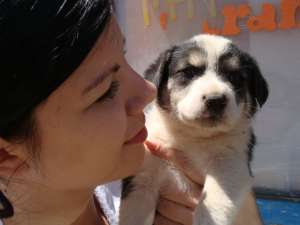 adoptie