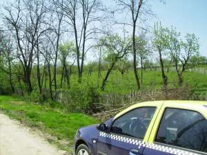 vand teren zona montana