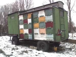 vand pavilion apicol