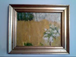 TABLOURI PICTURA AUGUSTIN COSTINESCU