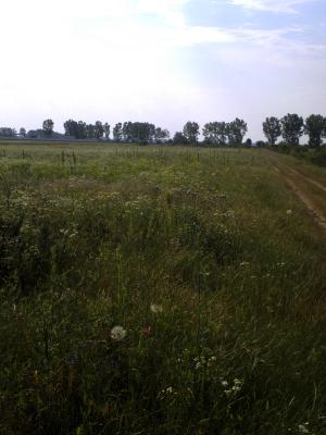 VAND TEREN AUTOSTRADA BUC-PITESTI KM 49