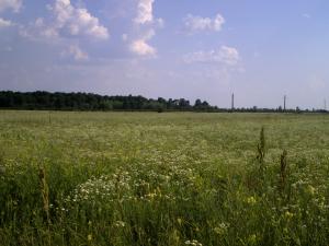 VAND TEREN AUTOSTRADA BUC-PITESTI KM 49