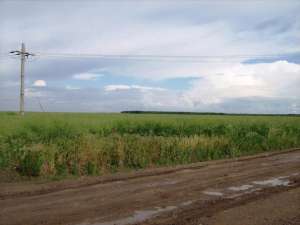 Fundulea,   4 hectare,   teren industrial