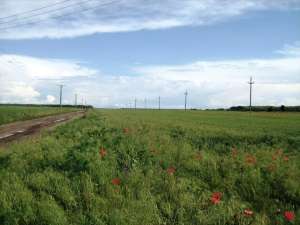Fundulea,   4 hectare,   teren industrial