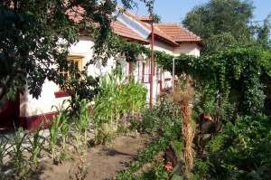 Casa ALEXANDRIA vanzare