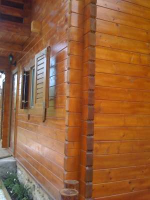 casa din grinda nut feder +chertare
