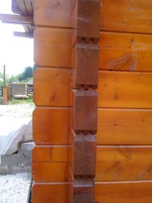 casa din grinda nut feder +chertare