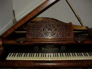 Oferta speciala... Pian Borsendorfer