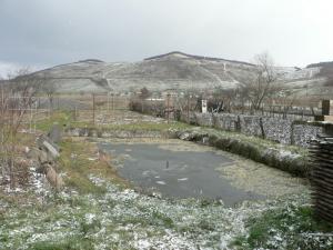 vand casa