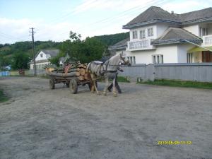 vand iapa semigrea