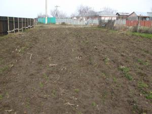 vand teren in sat Traian, com Branistea