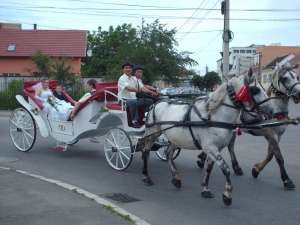 HINTO BERELHETO