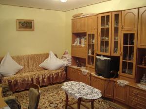 Apartament regim hotelier Vasui