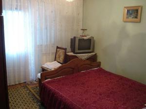 Apartament regim hotelier Vasui