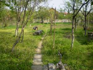 OCAZIE DE VANZARE CASA ZONA PARNEAVA