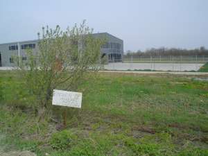 vand teren industrial in zona Autostrada Pit Buc