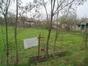 Teren superb si ieftin de vanzare in Gruiu - Cateasca