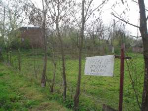 Teren superb si ieftin de vanzare in Gruiu - Cateasca