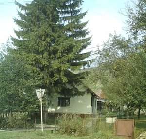 casa de vinzare