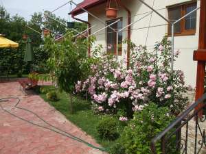 CASE - Ville - VANZARE