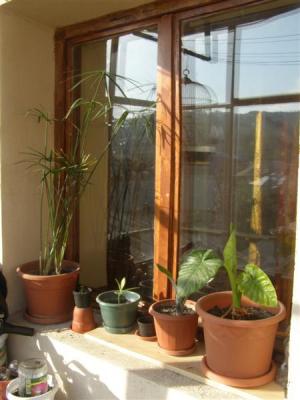 VAND APARTAMENT 2 CAMERE CAMPINA