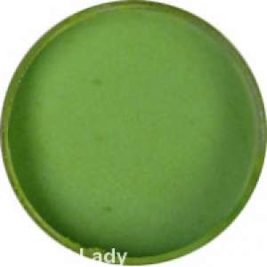 Praf acrilic Nail Art  10 lei