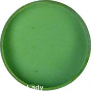 Praf acrilic Nail Art  10 lei