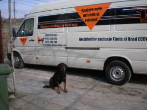 Transport marfa