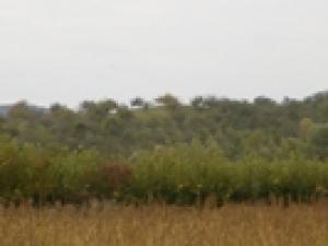 vand urgent teren intravilan