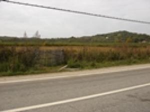 vand urgent teren intravilan