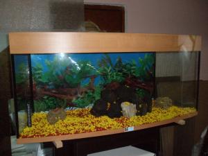 PESTI EXOTICI & ACVARI & HRANA