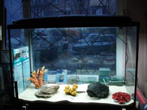 PESTI EXOTICI & ACVARI & HRANA