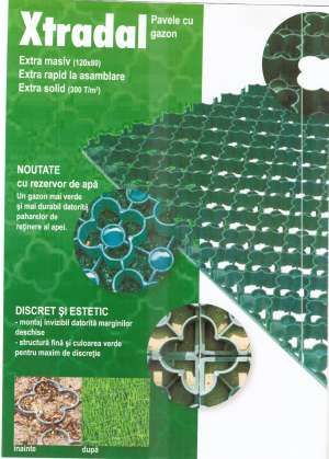 PAVELE ECOLOGICE CU GAZON