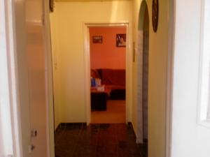 vinzare apartament confort 1 sporit