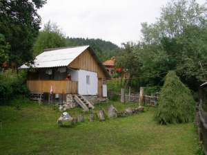 Vand teren 460mp + casa taraneasca