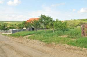 teren primaverii