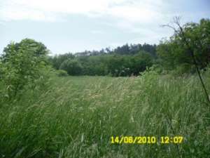 VAND 3600M2 INTRAVILAN TARGU NEAMT