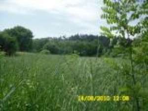 VAND 3600M2 INTRAVILAN TARGU NEAMT