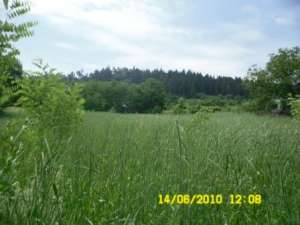VAND 3600M2 INTRAVILAN TARGU NEAMT