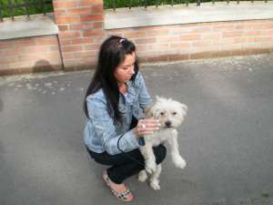 vand urgent!!!