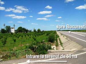 Calugareni,   teren 50 hectare la sosea DN5