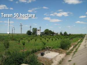Calugareni,   teren 50 hectare la sosea DN5