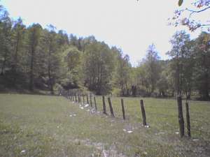 Vand teren 1500 mp Valea Lunga